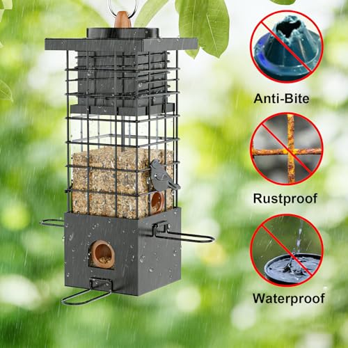 Hanging Wild Bird Feede