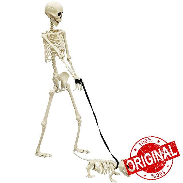 Halloween Skeleton 5.4FT Life Size Human Adult Skeletons with Skeleton Dog Halloween Decorations for Indoor Outdoor Garden Lawn