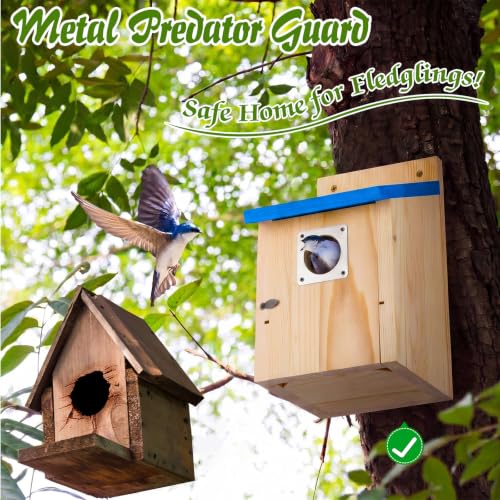 Bluebird Nesting Box(Blue Roof