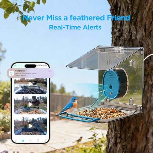 Auto Capture Videos&5MP Photos