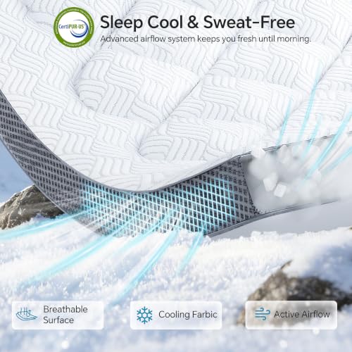 Shredded Memory Foam Blend Fill
