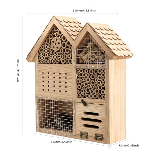and Beneficial Bugs-House Shape