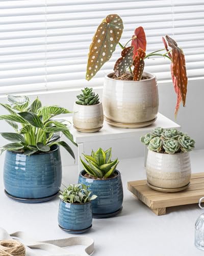 3.4+4.7+6.1 inch Cute Garden Pots Set for Succulent and Money Tree
