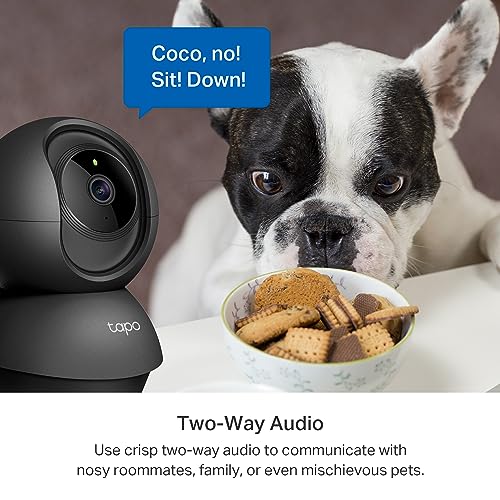 Works with Alexa & Google Home