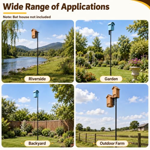 & Owl Houses