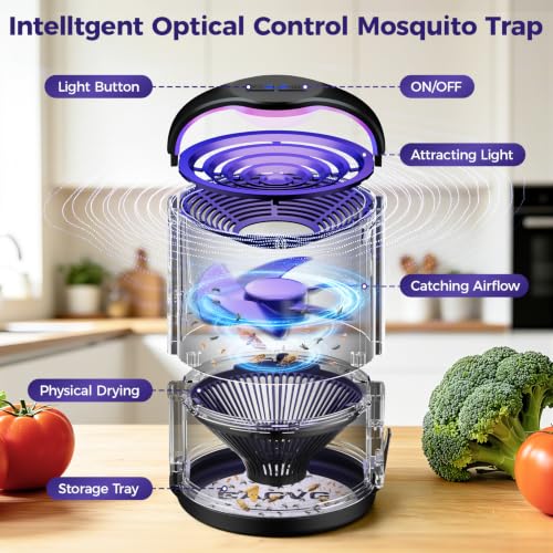 Black | Plug-in Gnats Killer Catcher with 365-395 nm Wavelengths for House Flies