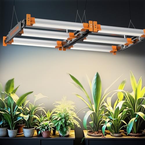 for Indoor Plants Seed Starting