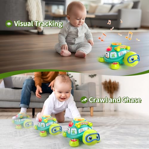 Bilingual Educational Turtle Toys for Infants 5 6 7 8 9 10 Months