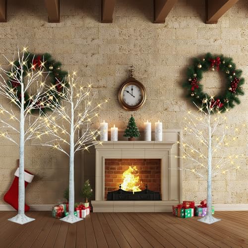 Indoor Outdoor Christmas Decorations