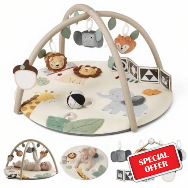 Blissful Diary Baby Play Gym