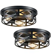 VONLUCE Flush Mount Ceiling Lights, 2-Light Hallway Ceiling Lighting Fixtures, 11 inch Farmhouse ...