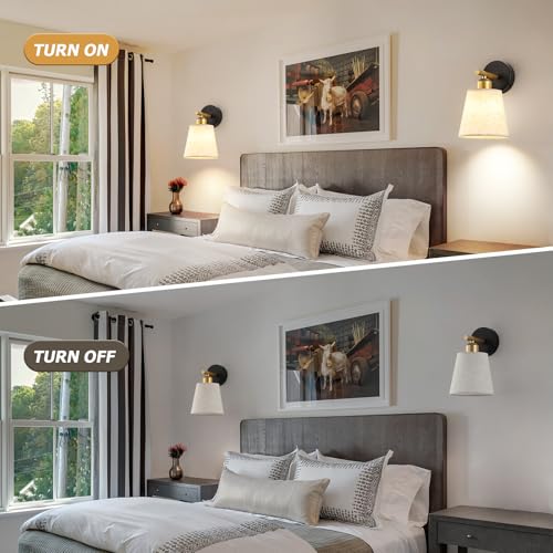 Modern Decorative Accent Ligh