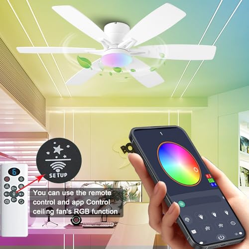 LED/RGB Dimmable DC Reversible Modern Ceiling Fan fo