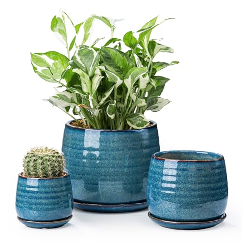 Indoor Flower Pots for Plants Set of 3