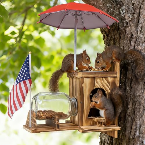 Natural Wood Feeder with Removable Glass Jar and Feeding Dish