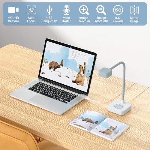 Visualizer & Webcam with Mute Mic