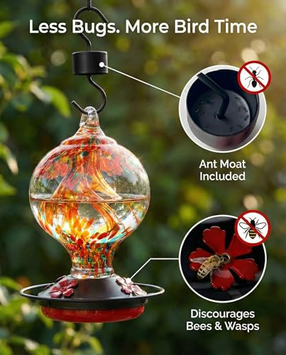 Decorative Inner Glass Humming Bird Feeder with Ant Moat Hook