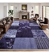 DweIke 4x6 Area Rugs for Living Room, Washable Non-Slip Soft Stain Resistant Throw Rug, Modern Ge...