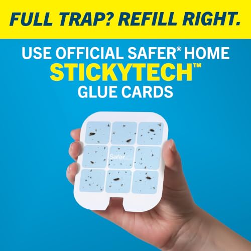 Gnat Traps for House Indoor