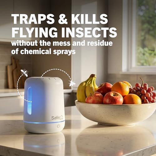 Fruit Fly Traps for Indoors