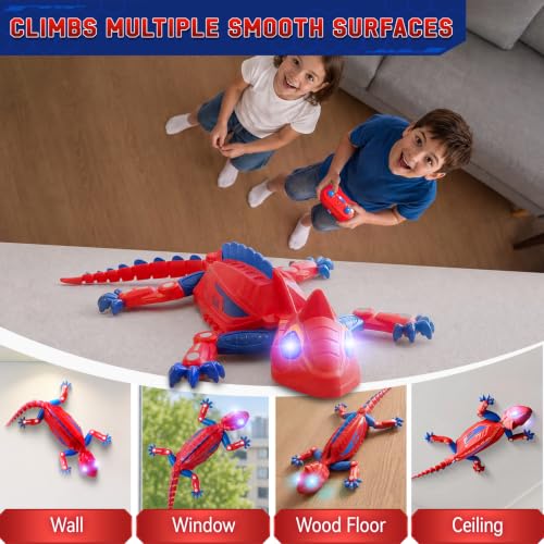 360°Rotation