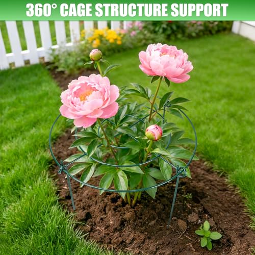 Roses & Tomatoes – Garden Stakes & Plant Cages for Outdoor Plants (8 Pack