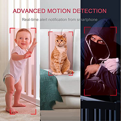 Wi-Fi Cameras Wired for Pet