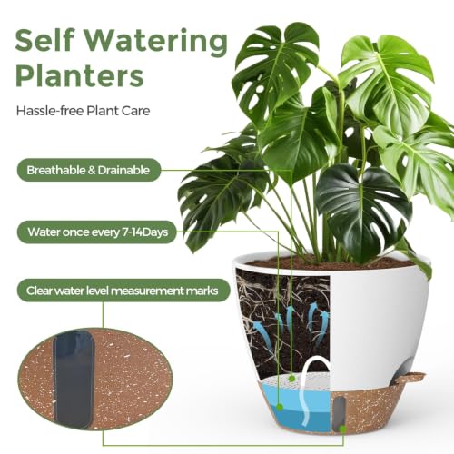 Modern Planters for Indoor Outdoor Plants
