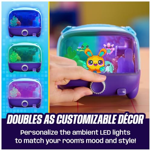 Birthday Gift for Kids
