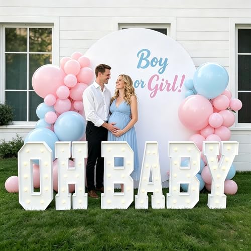 Baby Shower Gender Reveal Party Decoratio