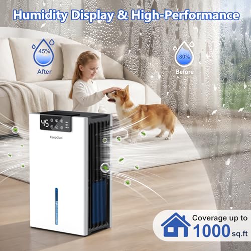 Humidity Display Dehumidifier for Basement Bathroom Bedroom