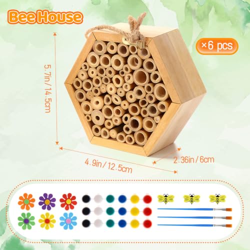 Hanging Shelter Bee Bug Hotel for Garden Pollinators Educational Teachers