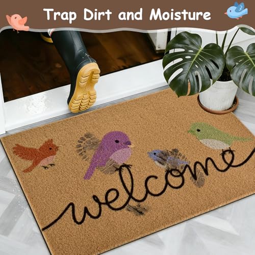 Easy Clean Stain Resistant Low Pile Front Doormats for Entryway Porch