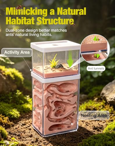 Scientific Observation & Student Learning