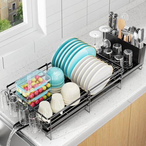 Expandable Dish Rack for Kitchen Counter