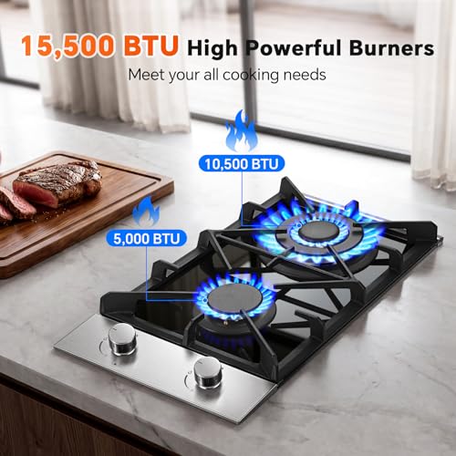 2 Burner Propane Cooktop