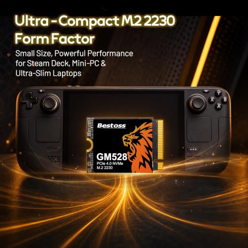 Internal SSD