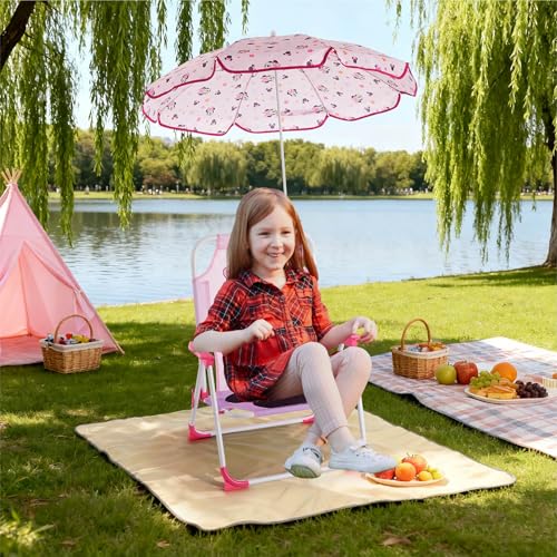 Locking Safety Mechanism & Sun Shade