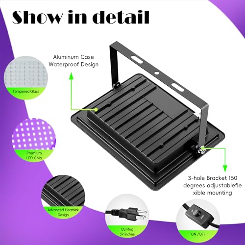 Blacklight Flood Light with Plug and Switch