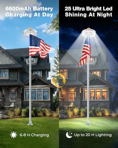 100% Flag Coverage