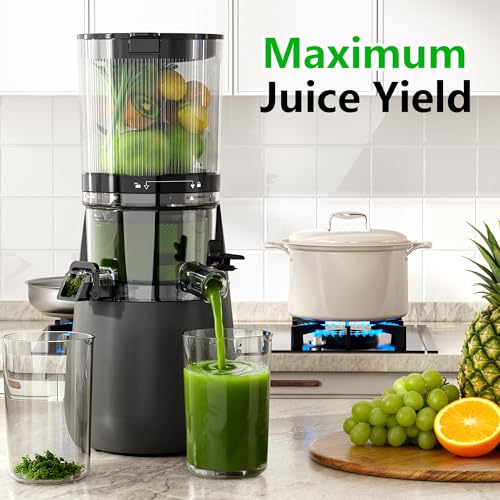 Extra one Replace juicer straine