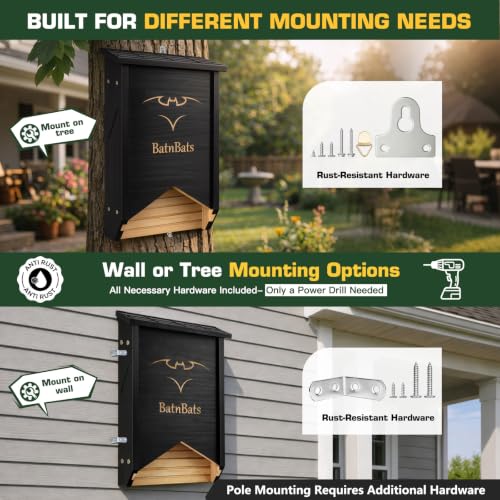 Mosquitoe-Free Backyard