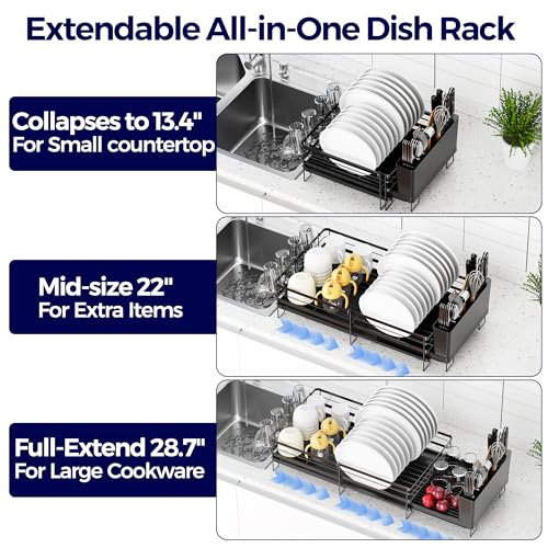 Dish Drainer with Drainboard Set