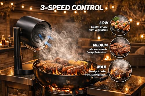 Portable Kitchen Hood for Indoor BBQ