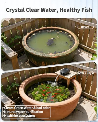 3 Working Modes for Small Pond