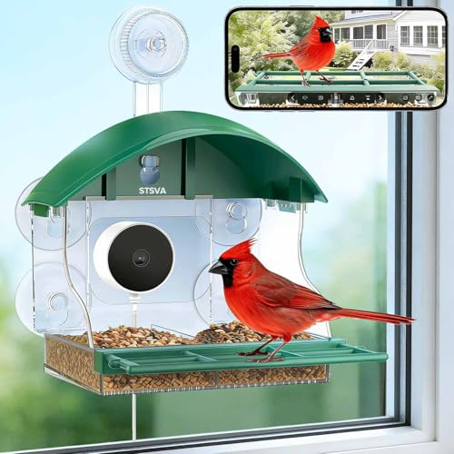 AI Bird Identification