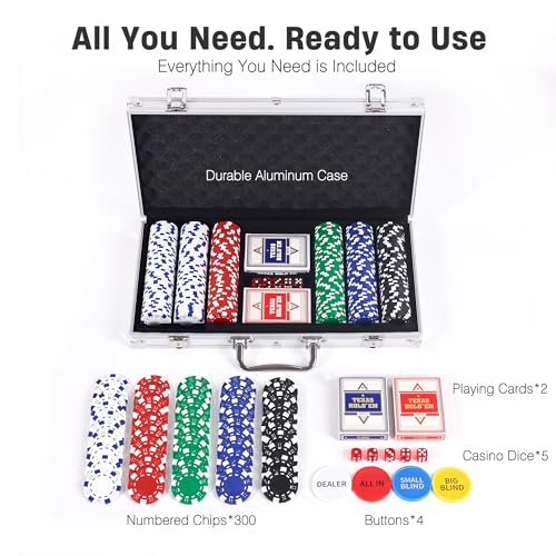 11.5g Clay Chips with Aluminum Carrying Case