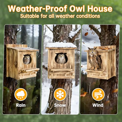 Ideal For Backyard Birding & Wildlife
