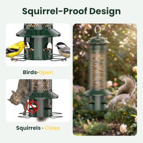 Attract Wild Birds