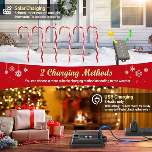 Solar Christmas Pathway Lights with USB Charge